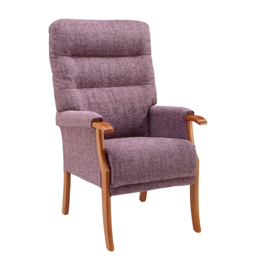 Orwell Fireside Chair - MobilityCo
