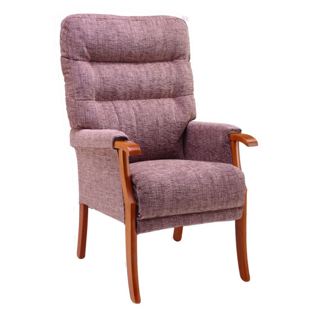 Orwell Fireside Chair - MobilityCo