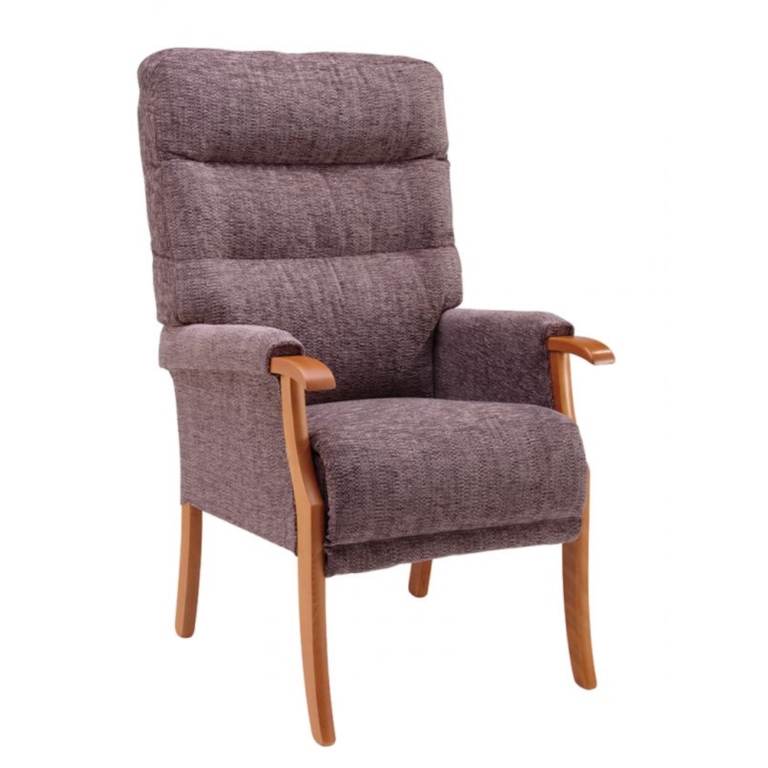 Orwell Fireside Chair - MobilityCo