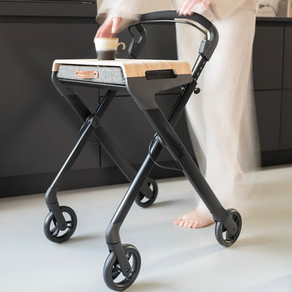 Rollbuddy Trolley Walker