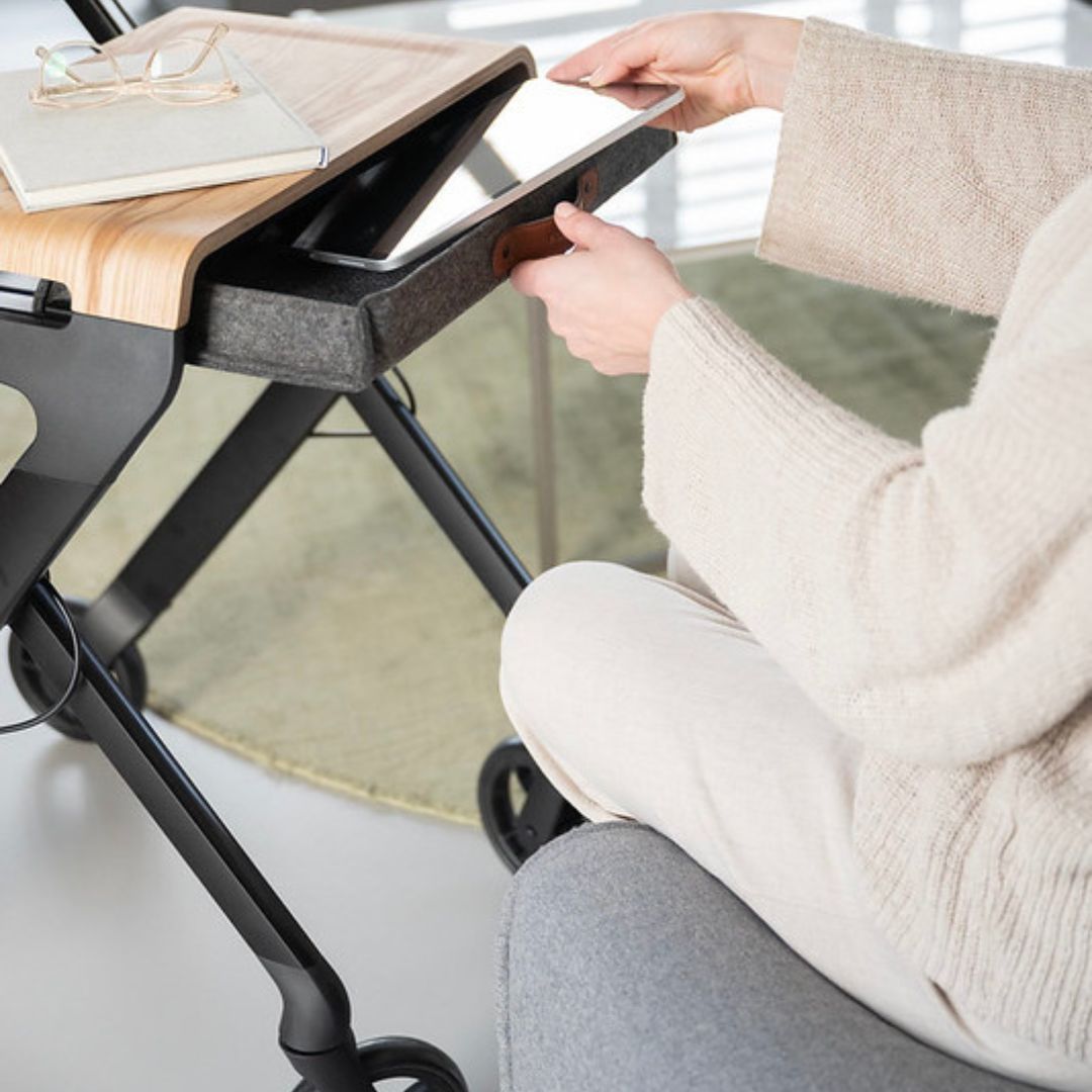 Rollbuddy Trolley Walker